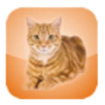 cat screen cleaner android application logo